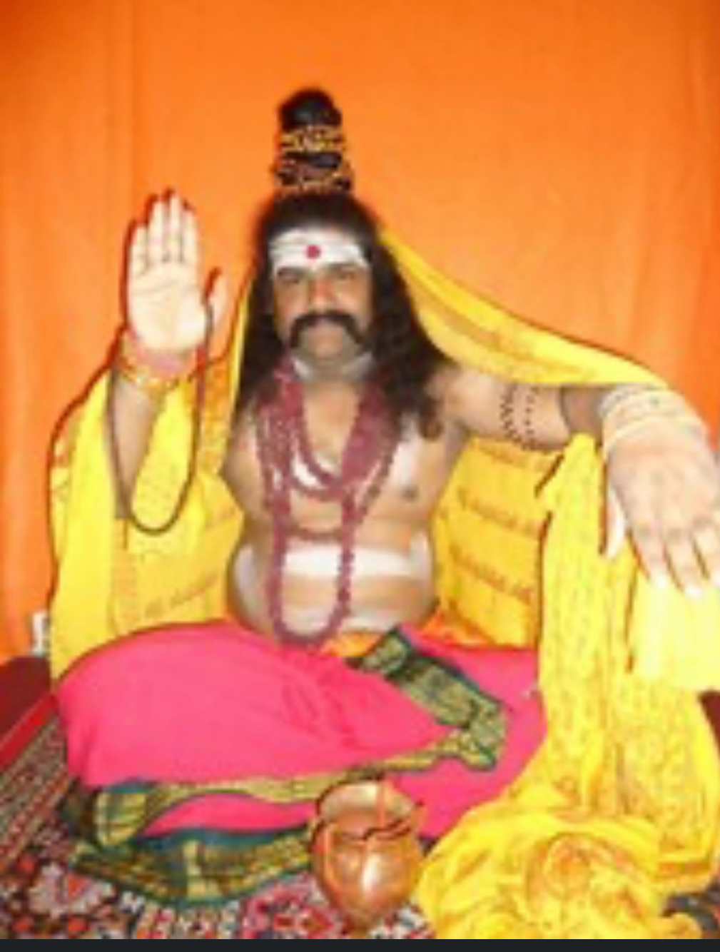 Vishnu Ji — Vedic Astrologer, Psychic & Spiritual Healer in San Diego